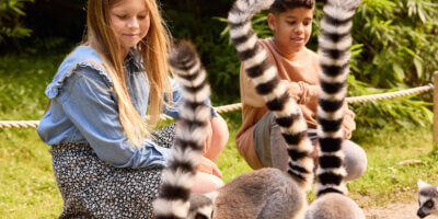 Afbeelding bij AquaZoo Leeuwarden korting