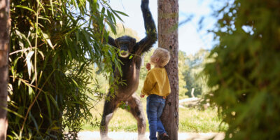 Afbeelding bij Eindhoven Zoo korting