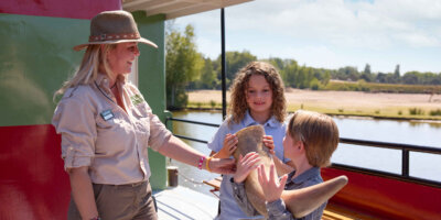 Afbeelding bij Safaripark Beekse Bergen korting