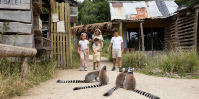 Afbeelding bij ZooParc Overloon korting